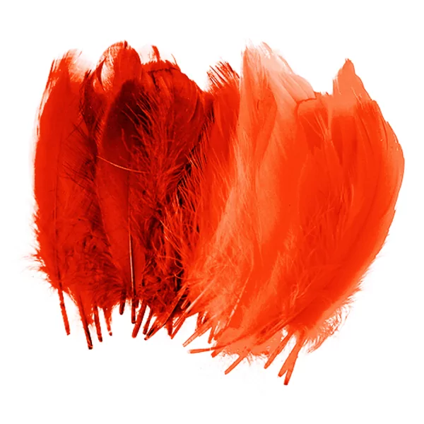 Sachet de 50 plumes rouges 15 cm