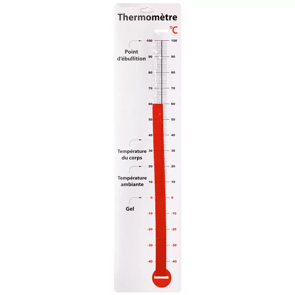 Kartonnen Thermometer 16 x 68 cm, FR