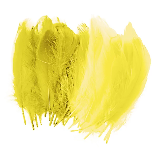 Sachet de 50 plumes 15 cm jaunes