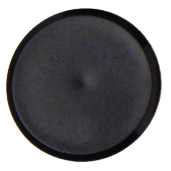 10 sterke magneten 30 mm zwart